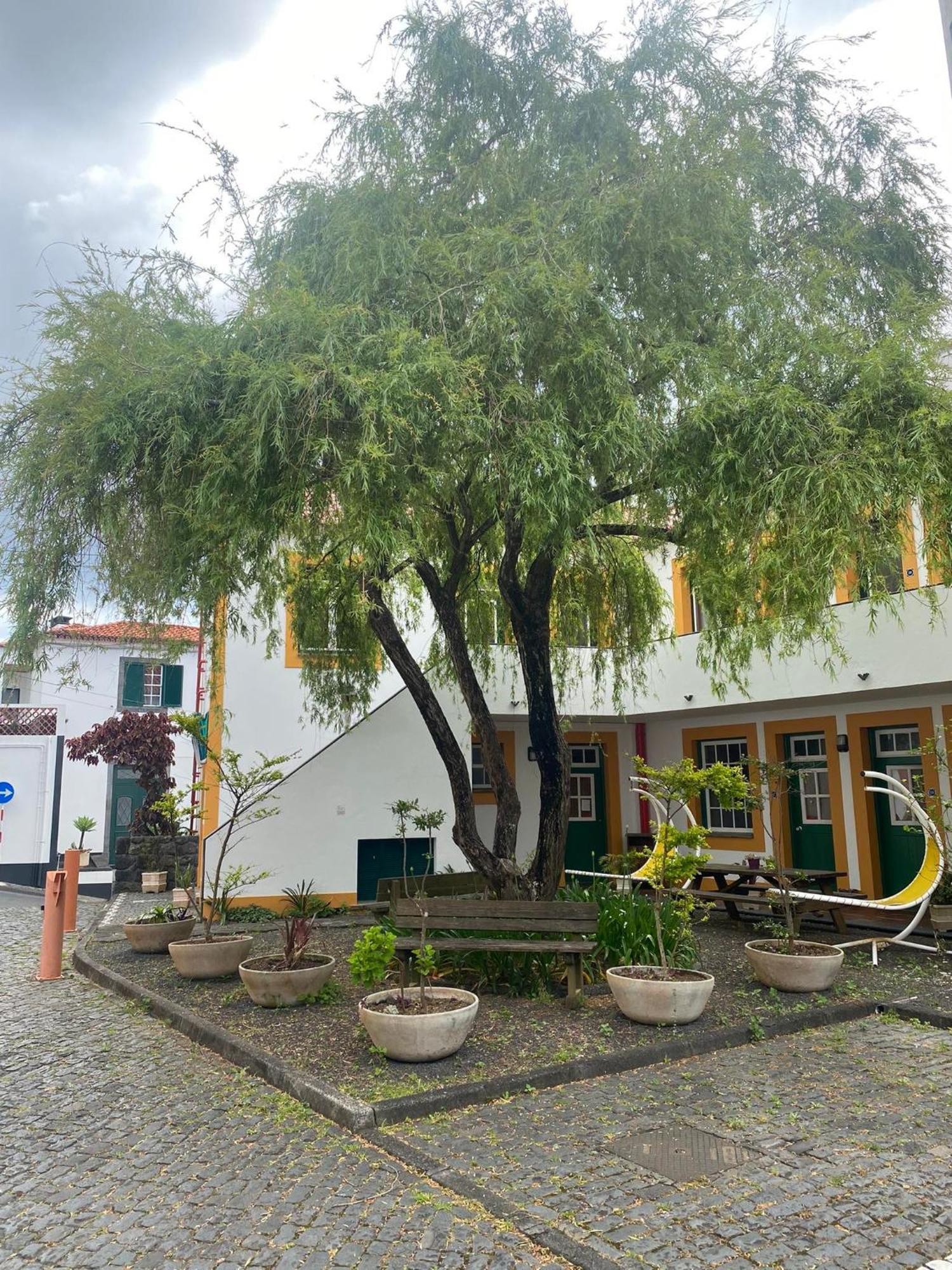 Hospedaria Verdemar Horta  Exteriör bild